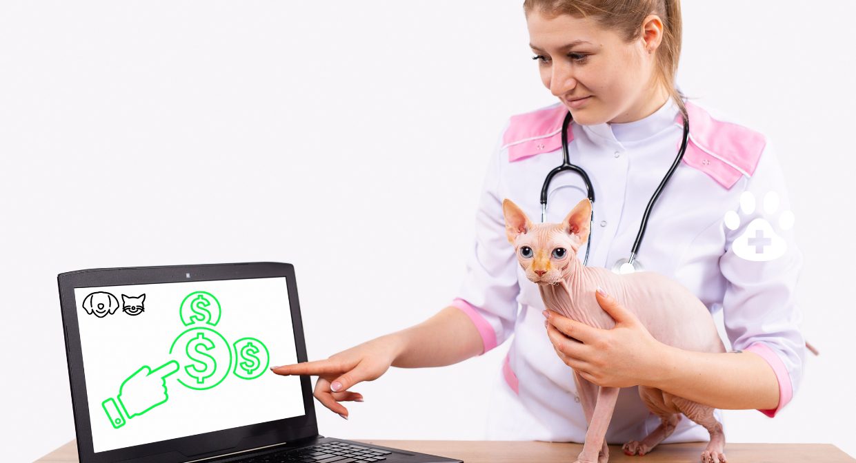 Aprenda o tráfego pago para clínicas veterinárias com a In The House